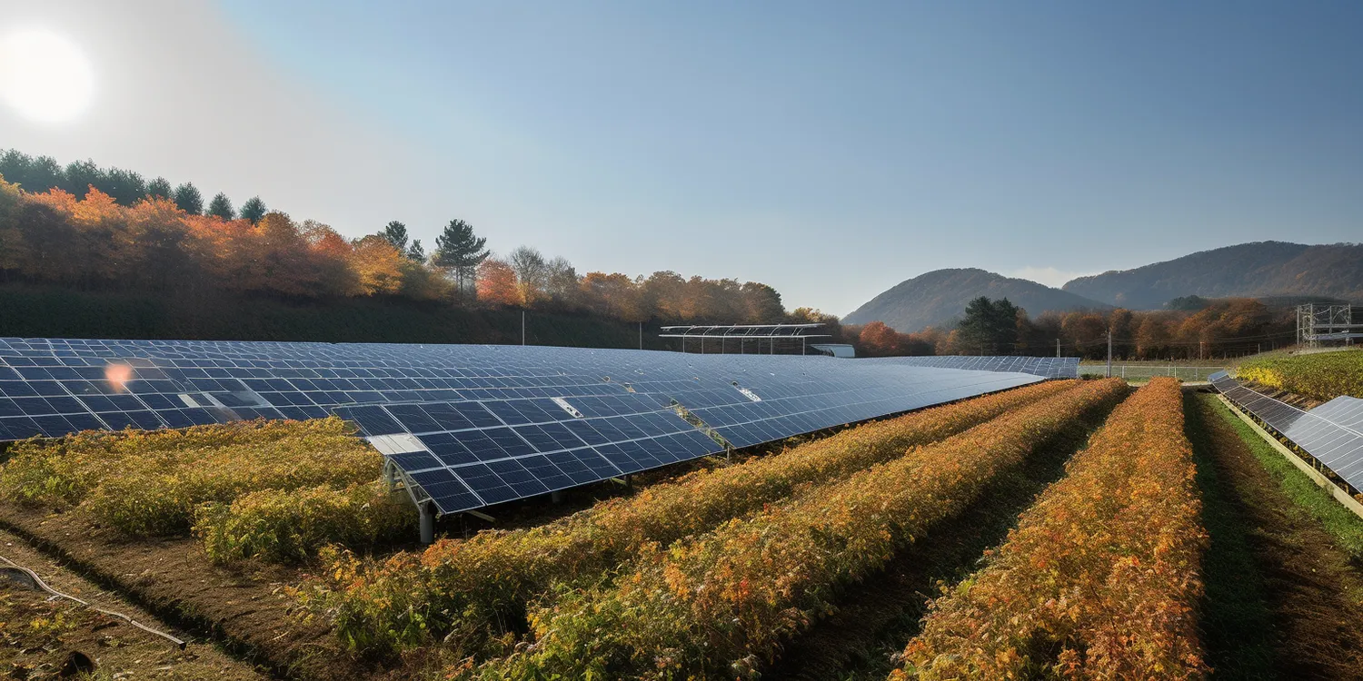 Jaką żywotność mają panele fotowoltaiczne?