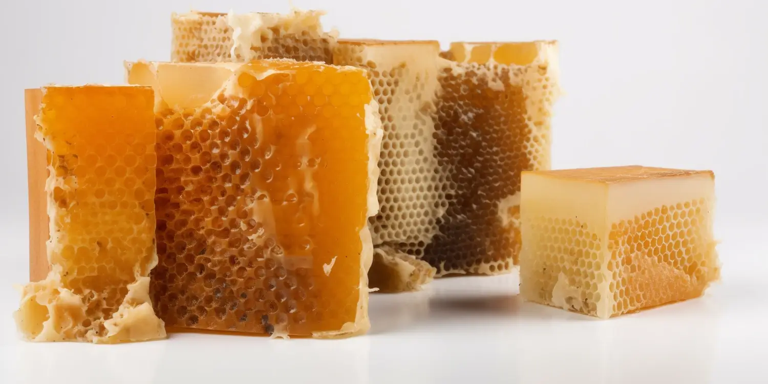 Infekcje wiosenne jak wspomóc się miodem spadziowym