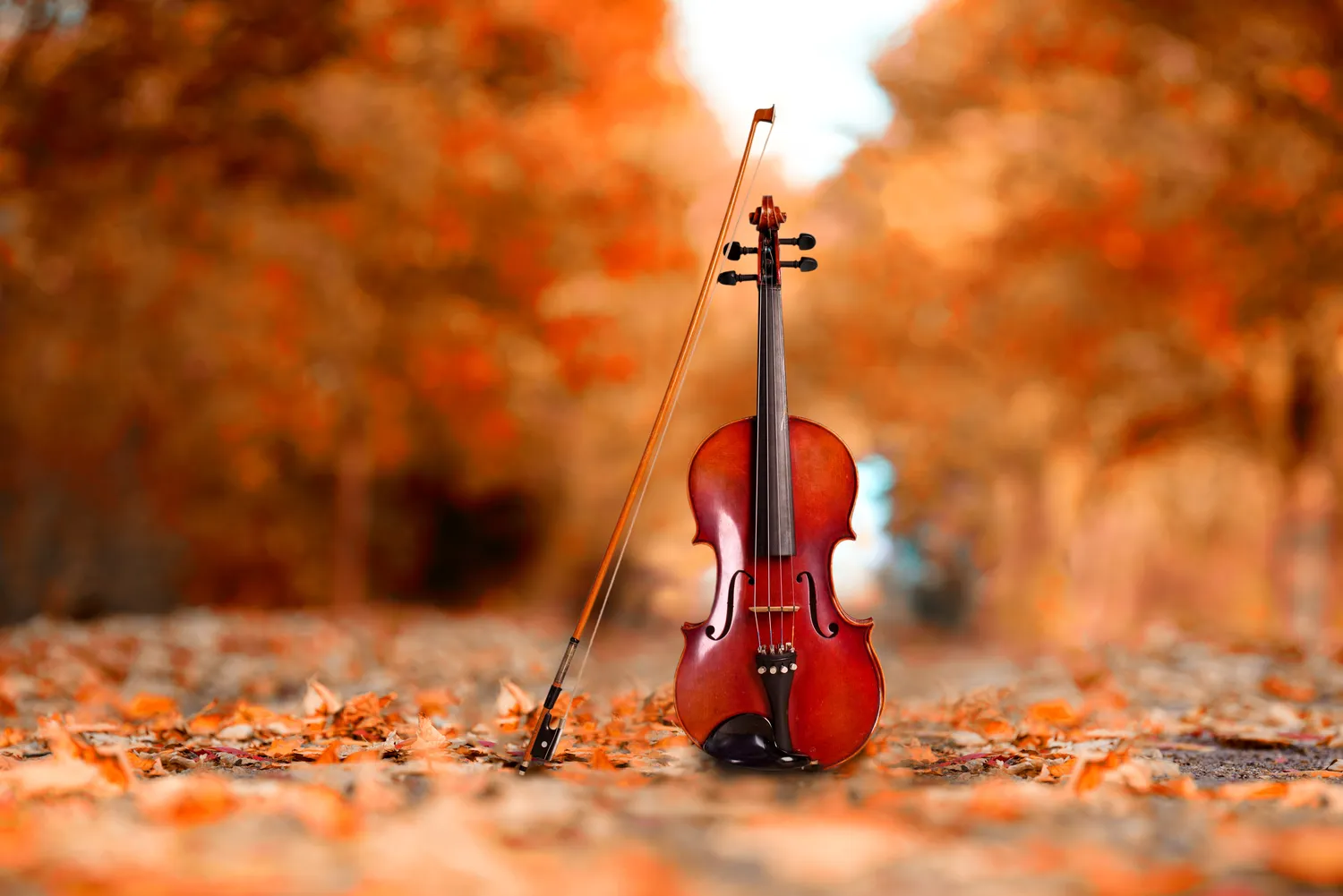 Nauka gry na skrzypcach Szczecin