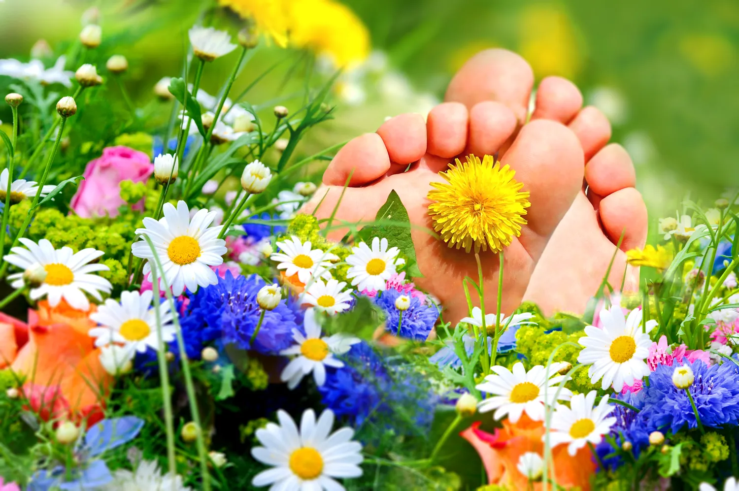 Dobry podolog Warszawa